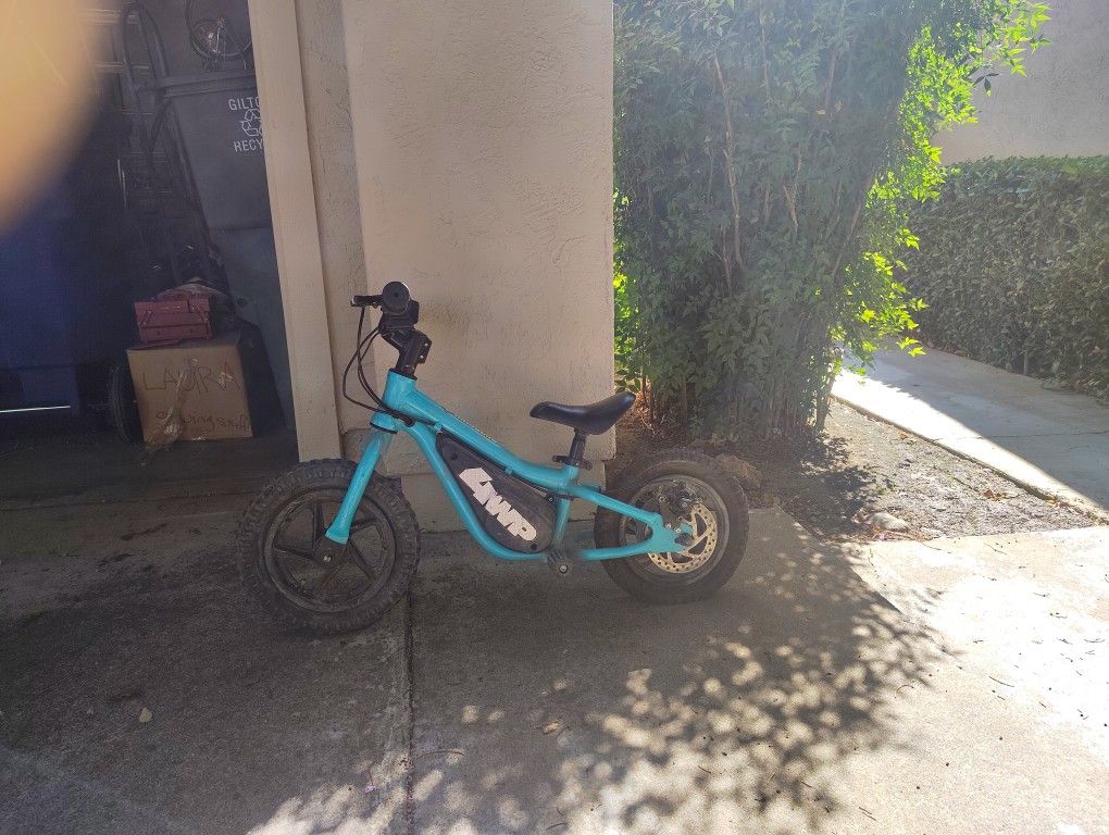 Massimo Electric Balance Bike