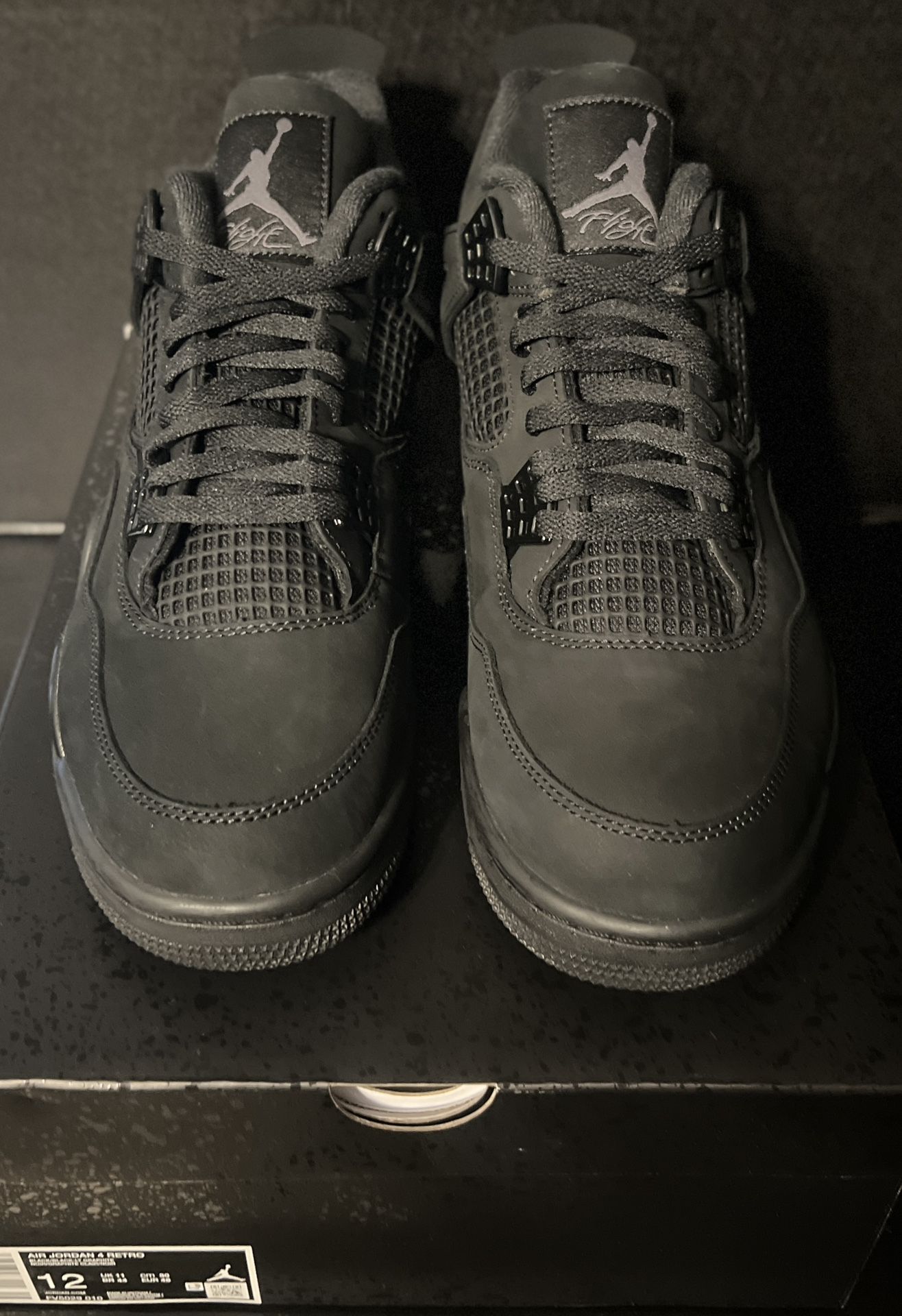 Jordan 4 Retro Black Cat (2025)