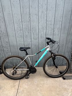 Adult Schwinn bike