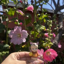 SONNY ANGEL DOG TIME CHIHUAHUA