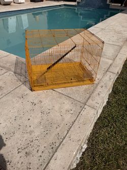 Bird cage