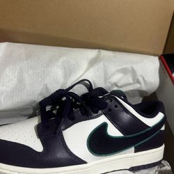 Dunks 9.5