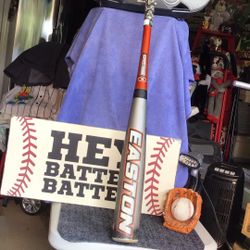 Easton CNT Stealth Baseball Bat Size 31” 28 Oz