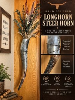 Authentic Longhorn