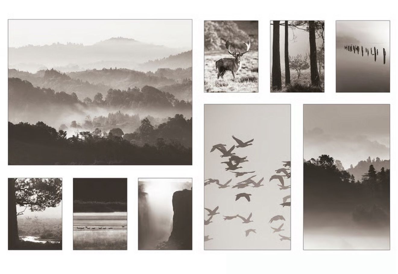 Picture, set of 9, in nature, 70 ½x44"