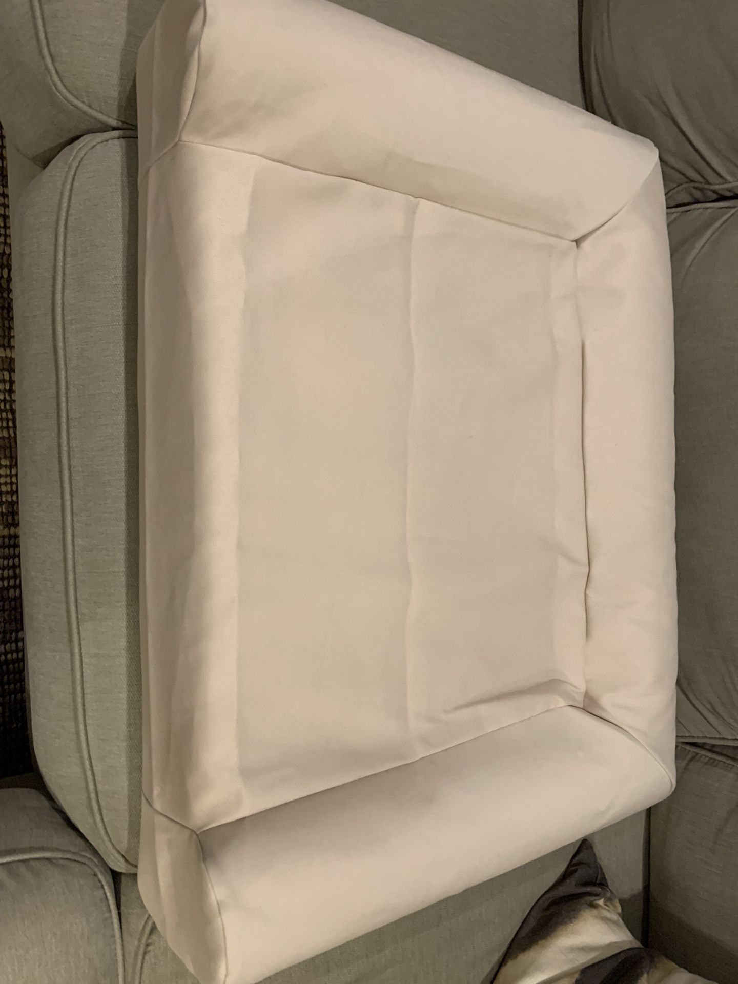 Wild One Foam Dog Bed