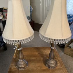 Table Lamps  Set 
