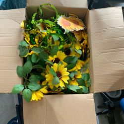 Sunflower decor for birthday shower, wedding event