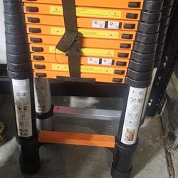 Telescopic Ladders