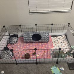 Guinea Pig Cage
