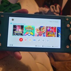 Nintendo Switch Lite 