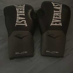 Everlast Pro Boxing Gloves
