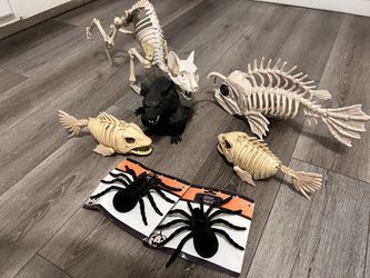 Halloween fish and cat skeletons black rat and big spiders figures they have sounds and lights 40 for everything