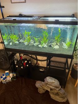75 Gallon Aquarium
