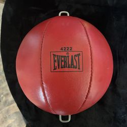 Everlast Speed Bag