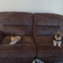 Brown Recliner 