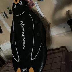 Snow Boogie Board 