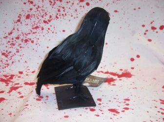 Black Feathered Crow Decoration on Stand