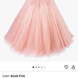 Quinceanera Dress size 12