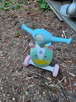 Free Toddler scooter