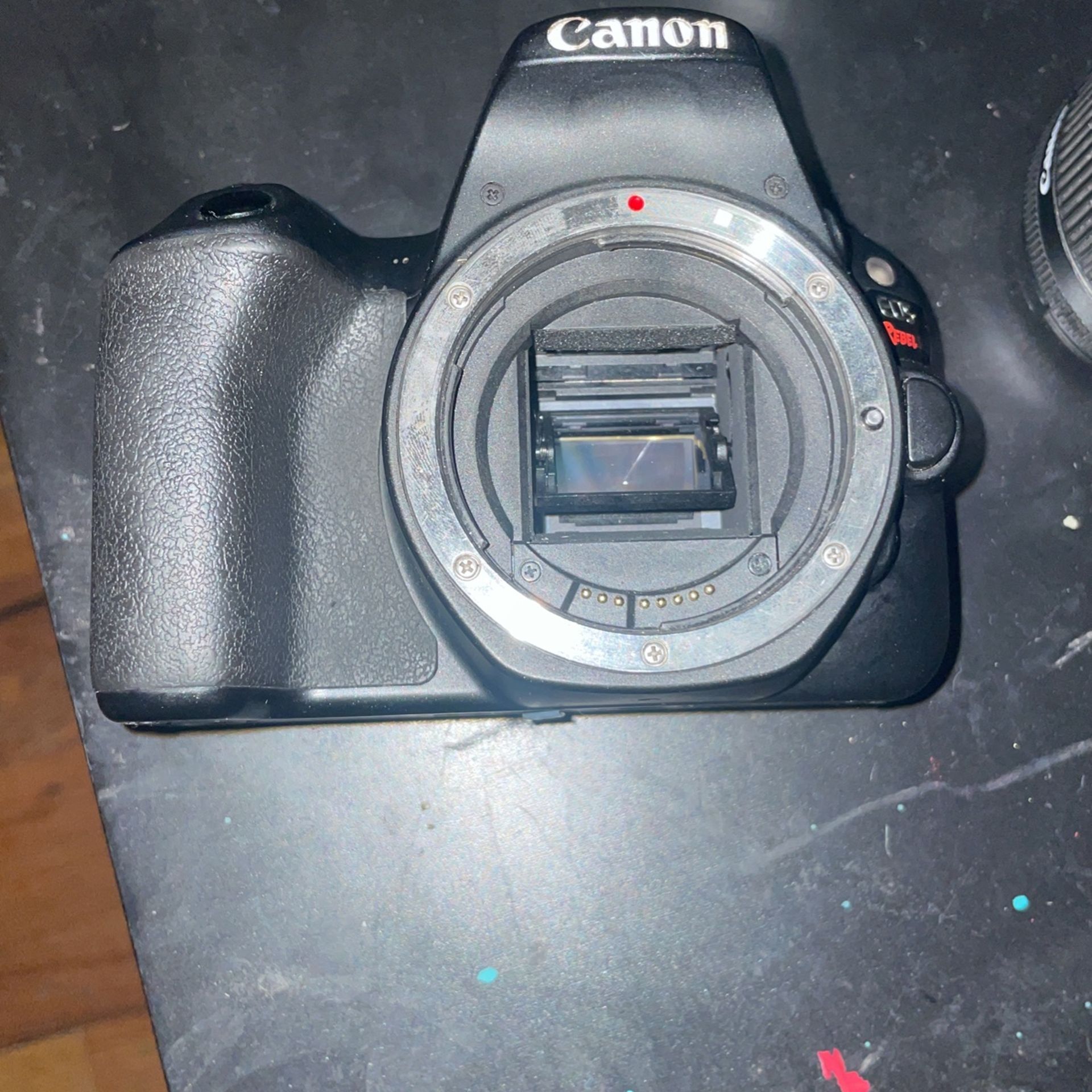 Canon Eos Rebel Sl2