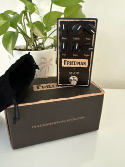 Friedman BE OD