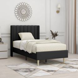 Twin Bed 
