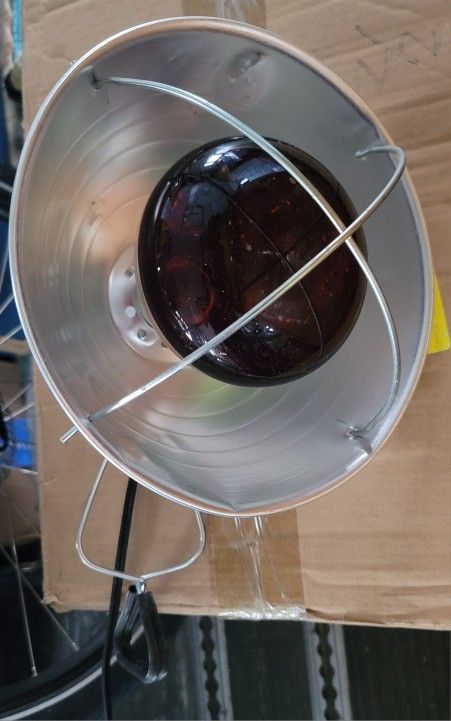 Brooding or Reptile Heat Lamp with Clamp