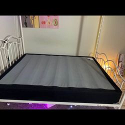 Queen Box Spring 