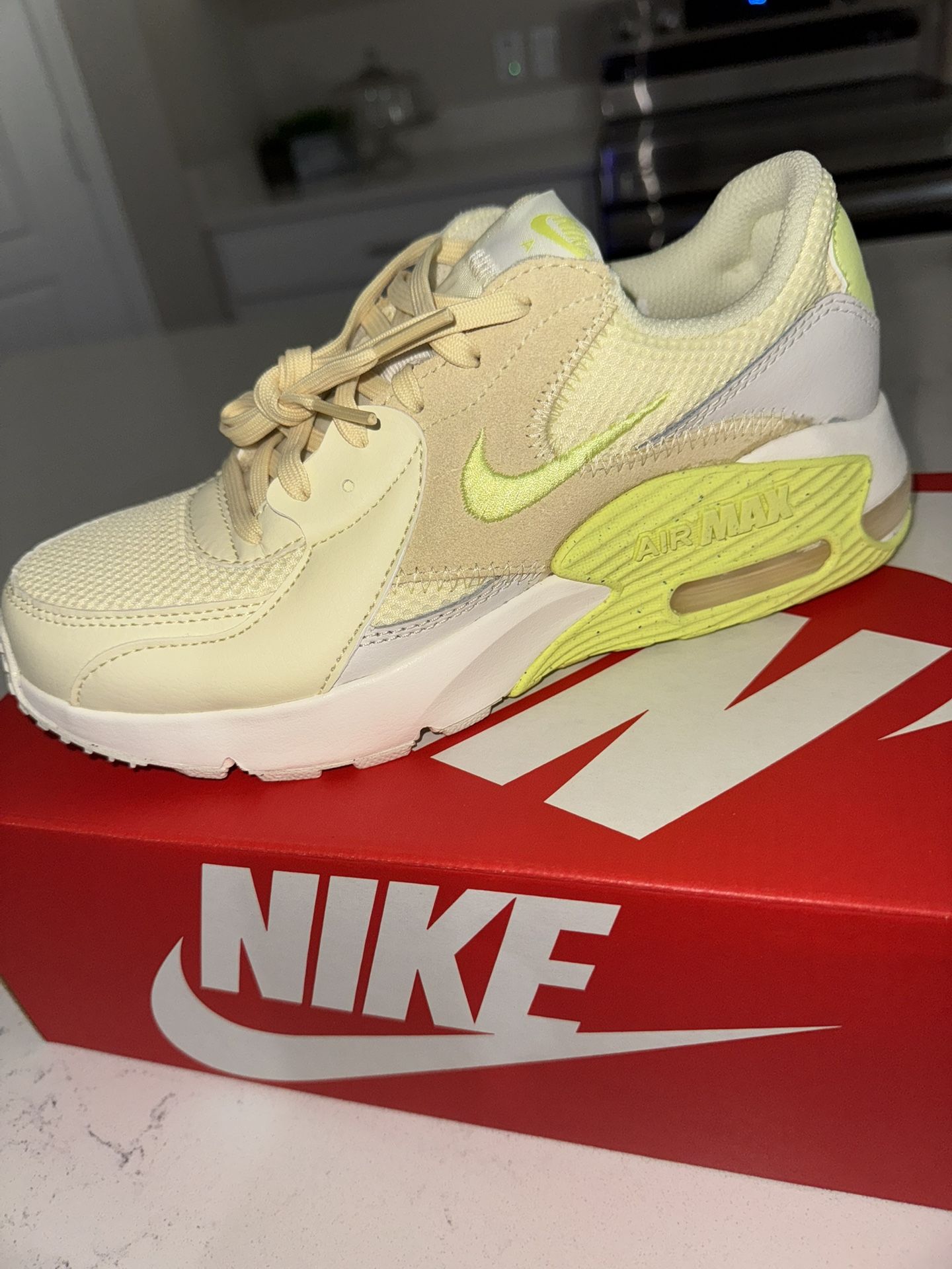 Nike Air Max Shoes