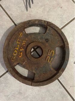 Gold’s Gym 25LB Weight Plate