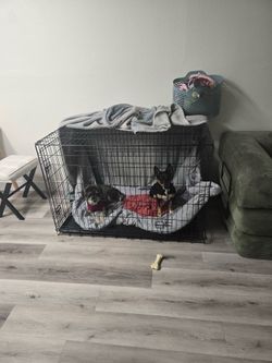 Dog crate 60 OBO