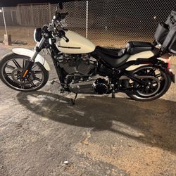 2019 Harley Davidson FXBR soft tail breakout