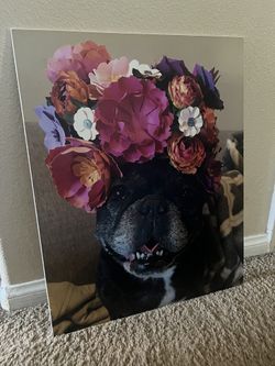 Silly Dog Portrait (Make an Offer!)