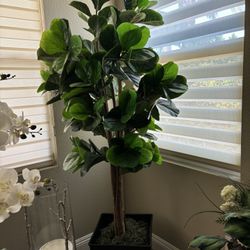 Artificial Fig Tree