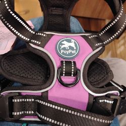 Dog Harness