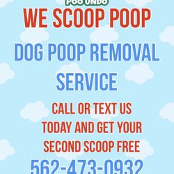 Dog Poop Removal
