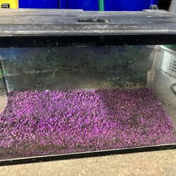 10 Gallon Aquarium+hood/light/filter,cartridges,gravel