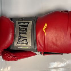 Everlast Boxing Gloves 