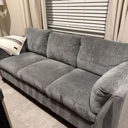 Living Room Set - Couches 