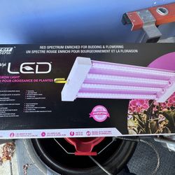 LED Plant Grow Lights 