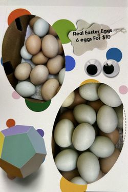 Real Easter Eggs 6 Pcs For $10 , Available For Shipping Too 