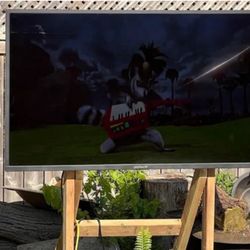 Brand New TV / Out Door Rated  $900