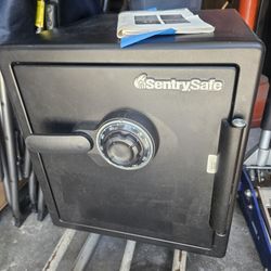 Sentry SAFE