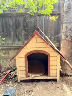 Dog House
