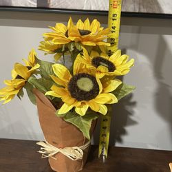 6 Pieces Total Sunflower Decor And Picture Frames