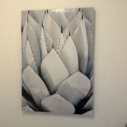 Art Piece Flower Pedals 