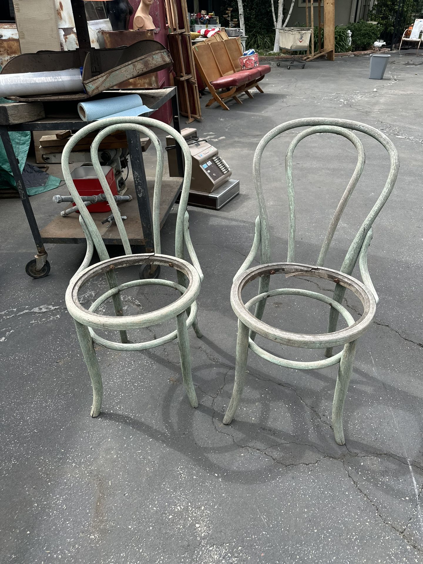 PRICED TO SELL - Thonet Project Chairs - 10 For Both