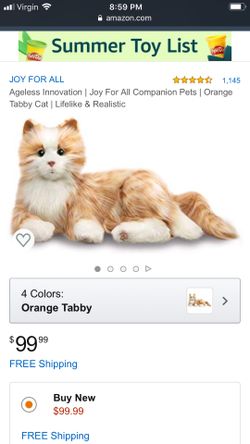 Joy robot cat