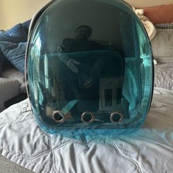 Pet  Back Pack 